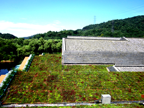 錢江新城 屋頂綠化群 中國(guó)風(fēng)景園林網(wǎng)