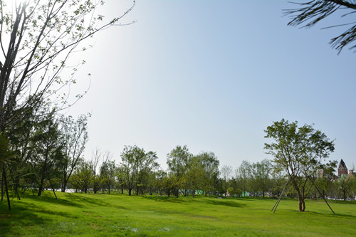 園冶杯專業(yè)獎：固安中央公園景觀設(shè)計