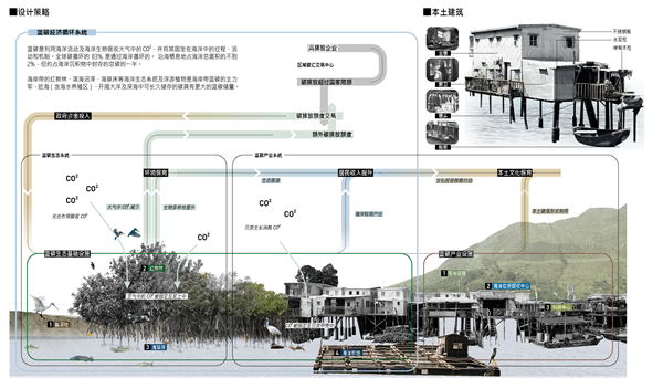 澳海興事——基于藍(lán)碳經(jīng)濟(jì)理念下的漁村產(chǎn)業(yè)轉(zhuǎn)型與生態(tài)保育綜合設(shè)計(jì)